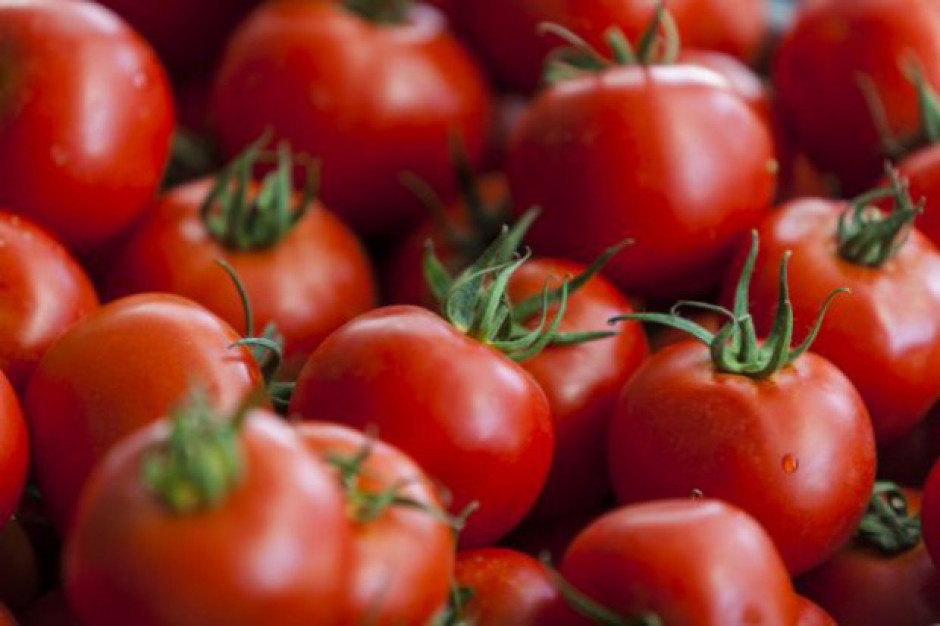 Niemcy spożywają duże ilości pomidorów