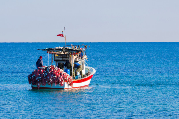 Fot. Shutterstock Ustawa o wspieraniu sektora rybackiego - jakie zmiany?