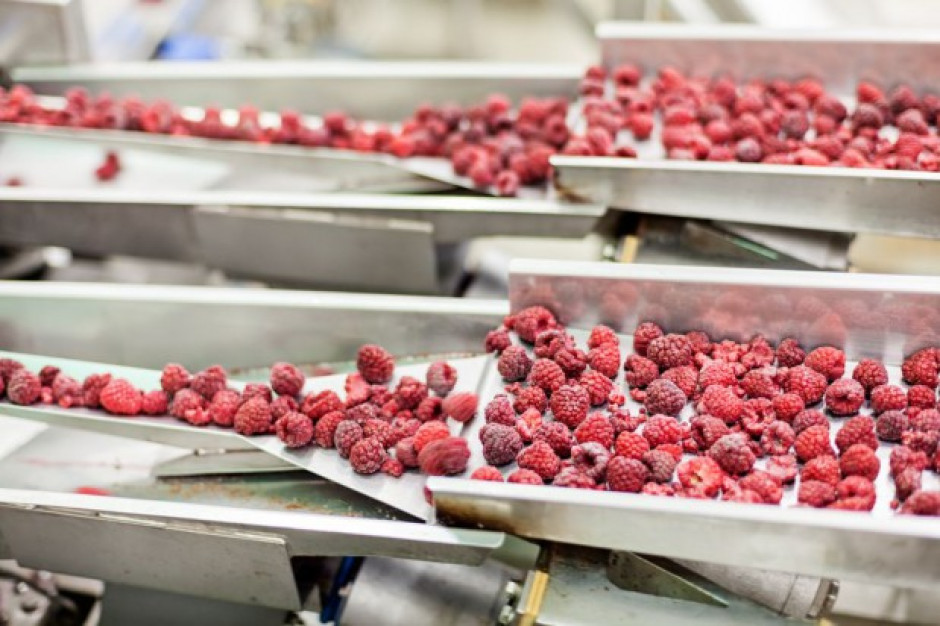 Holenderska SVZ likwiduje przetwórnię owoców i warzyw na Lubelszyźnie