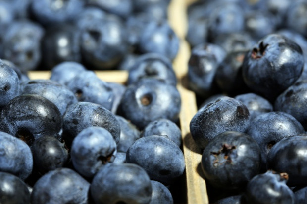 Polskie borówki zostały pozytywnie przyjęte przez singapurskich konsumentów; fot. shutterstock.com Singapur rozpoczął import borówek amerykańskich z Polski
