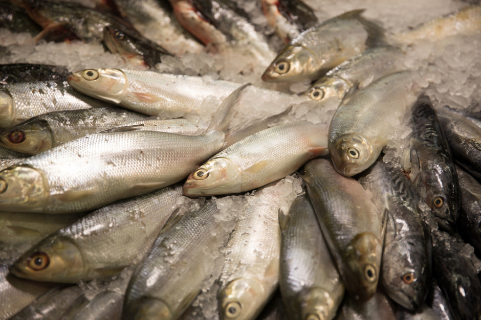 W pierwszym półroczu wzrosła produkcja ryb i owoców morza 