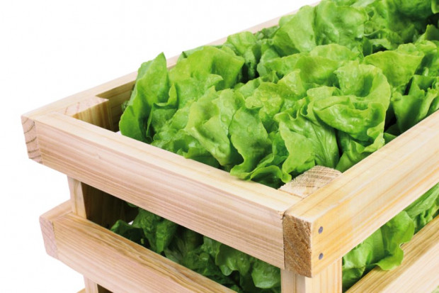 fot. shutterstock Green Factory: Dla polskich konsumentów ważna jest czysta etykieta