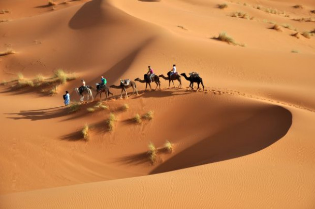(fot. Fotolia) PAIiIZ zacieśnia współpracę z rynkami arabskimi