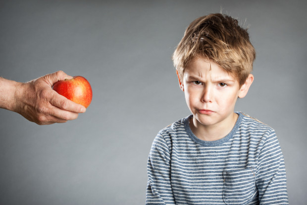 Po raz pierwszy przedstawiciel rządu otwarcie przyznał, że nowe prawo wymaga poprawy, a więc jest wadliwe (fot. Shutterstock) Bohaterskie rozwiązywanie problemów z żywnością w szkołach