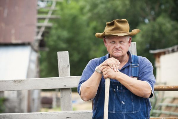 (fot, Fotolia) Rolnicy chcą 650 tys. zł pomocy suszowej