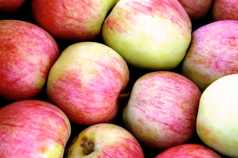 W Broniszach drożeją jabłka i warzywa
