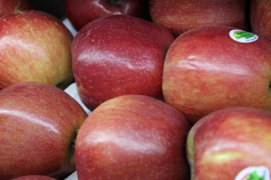 Rosyjskim przetwórcom brakuje polskich jabłek