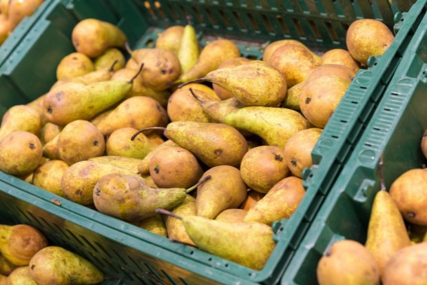 fot. shutterstock Ceny gruszek w hurcie kosztują 2-5 zł/kg