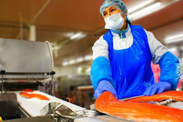 Fot. Morpol Marine Harvest ze wzrostem przychodów operacyjnych, ale spadkiem zysku