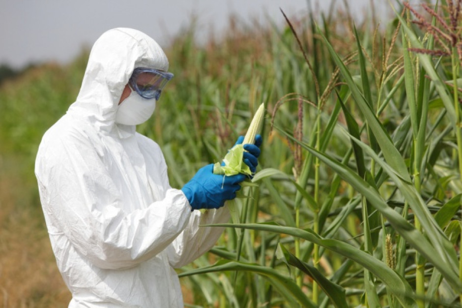 Europosłowie odrzucili projekt dotyczący GMO