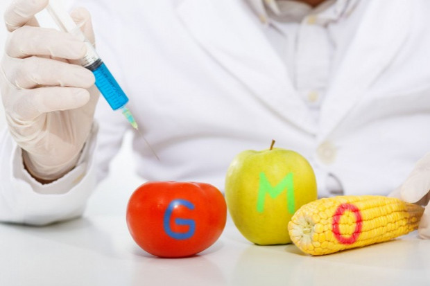 Jest porozuemienie w sprawie GMO; fot. shutterstock.com UE: Porozumienie i dalsze dyskusje w sprawie GMO (video)