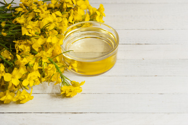 Fot. Shutterstock Rośnie eksport i import surowców oraz produktów oleistych