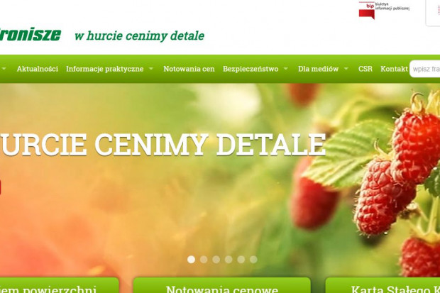 fot. Bronisze Bronisze wypłacają dywidendę za 2014 r.