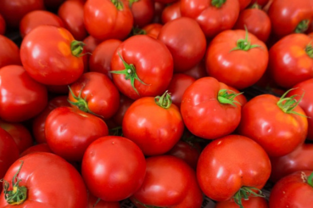 fot. shutterstock Wkrótce ruszy kampania promująca spożycie pomidorów za 3 mln euro