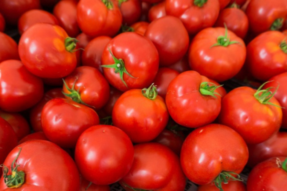 Wkrótce ruszy kampania promująca spożycie pomidorów za 3 mln euro