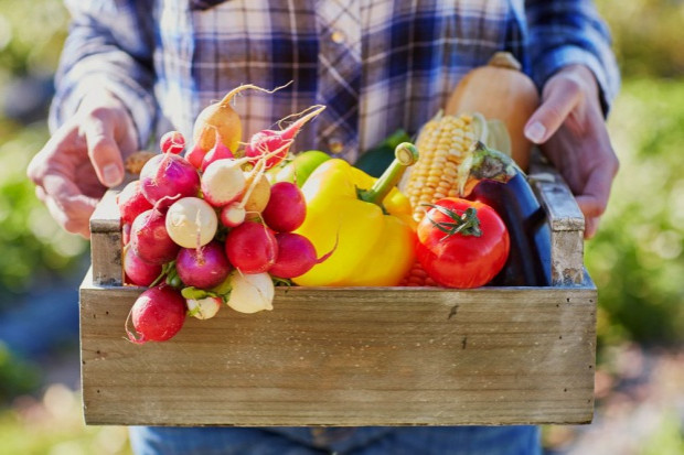 fot. shutterstock Barierami rozwoju rolnictwa ekologicznego są niskie plony i wysokie koszty