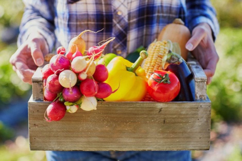 Wolniejszy wzrost cen warzyw obniżył dynamikę cen żywności