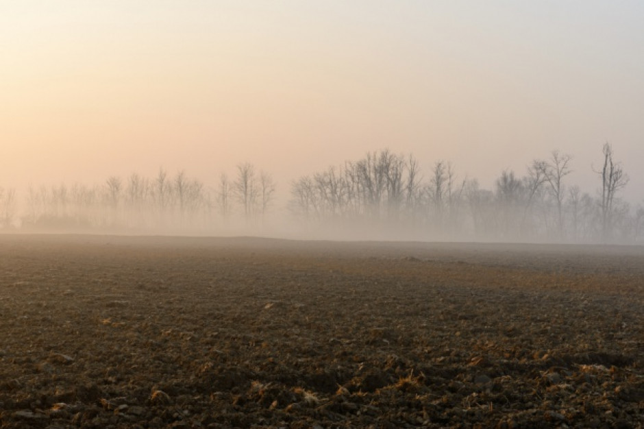 fot. shutterstock.com Kto zyska na ciepłej zimie?
