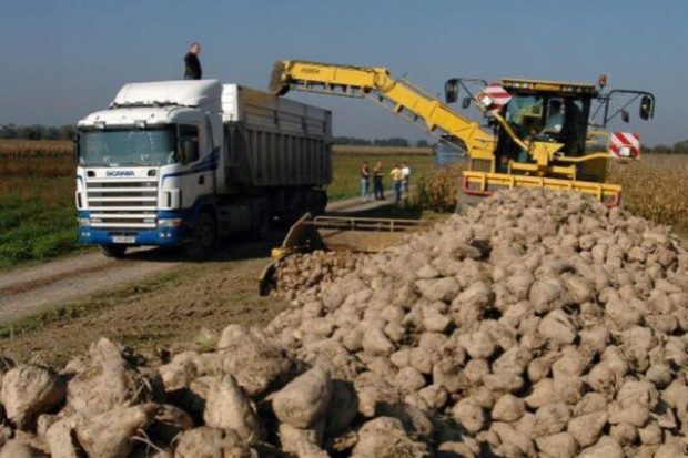Koniec kampanii w Südzucker Polska; fot. za Farmer.pl Südzucker Polska kończy kampanię cukrowniczą 2015/16