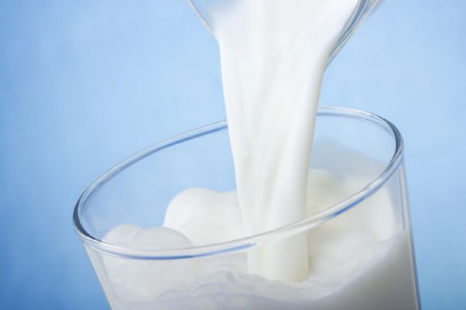 Uwolnienie kwot mlecznych nie pomogło rolnikom