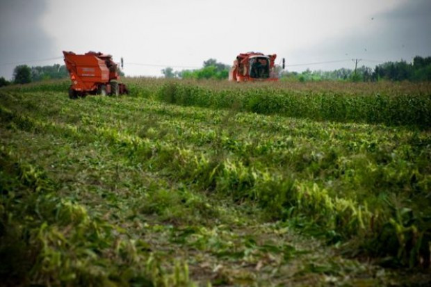 fot. Żelazna studio Do połowy stycznia projekt dot. obrotu ziemią trafi do konsultacji