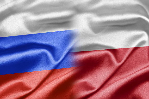 Fot. Shutterstock Polska poradziła sobie z rosyjskim embargiem