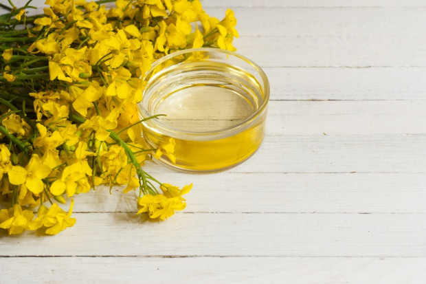 DG Agri prognozuje wzrost importu oleistych w sezonie 2015/16. fot. shutterstock Prognozy dla rynku oleistych: Wzrost importu, mniejsza podaż