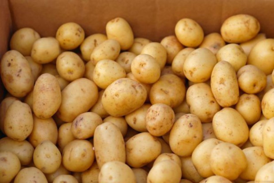 IERIGŻ: Wzrosną ceny ziemniaków 