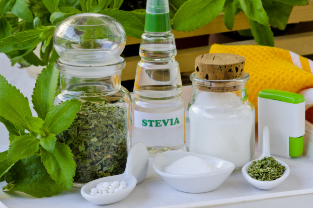 Stewia może być odpowiedzią na coraz większą niechęć konsumentów do sztucznych substancji słodzących. fot. shutterstock Producenci stewii skorzystają na spadku zaufania do sztucznych słodzików