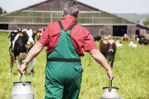 Arla Foods przejęła mleczarnie Westbury zarządzane wcześniej przez First Milk. fot. shutterstock Przejęcie Westbury przez Arla Foods uspokoi sytuację na brytyjskim rynku mleka