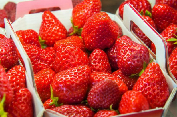 fot. Shutterstock Wcześniejsze zbiory truskawek w Maroku to mniejsza podaż owoców do mrożenia