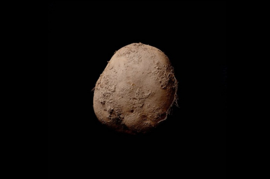 Fotografia ziemniaka sprzedana za okrągły 1 mln euro