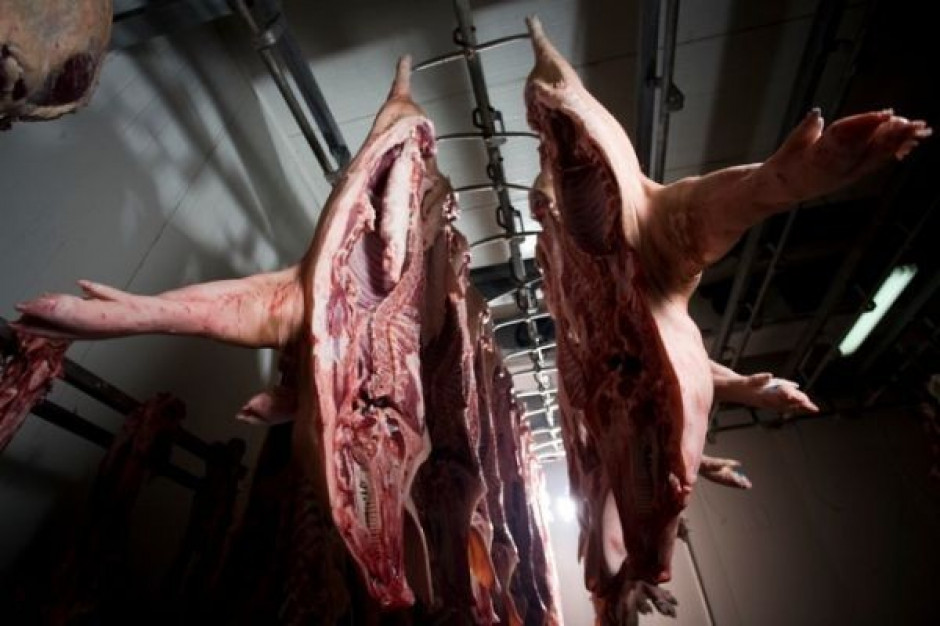 Kraje UE zgłosiły do przechowania z dopłatami 89,9 tys. ton wieprzowiny