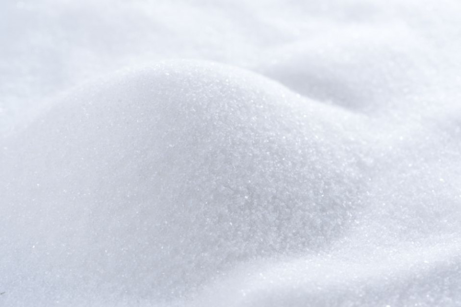fot. shutterstock Wlk. Brytania: „Tak” dla długoterminowej kontraktacji buraków po 2017 r.?