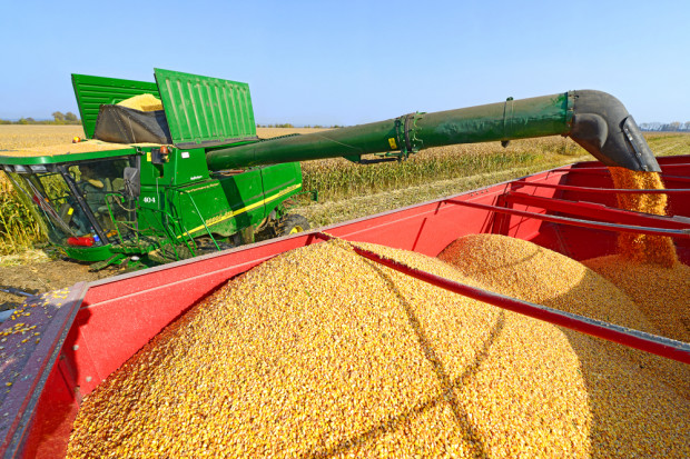 Transport 1,2 mln ton ukraińskiej kukurydzy trafi do Chin w ramach spłaty kredytu udzielonego w 2012 roku. fot. shutterstock Ukraina spłaci dług wobec Chin eksportując kukurydzę