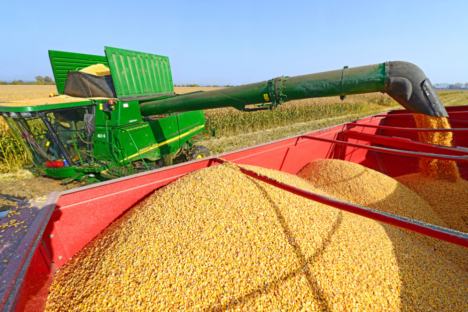 Transport 1,2 mln ton ukraińskiej kukurydzy trafi do Chin w ramach spłaty kredytu udzielonego w 2012 roku. fot. shutterstock Ukraina spłaci dług wobec Chin eksportując kukurydzę