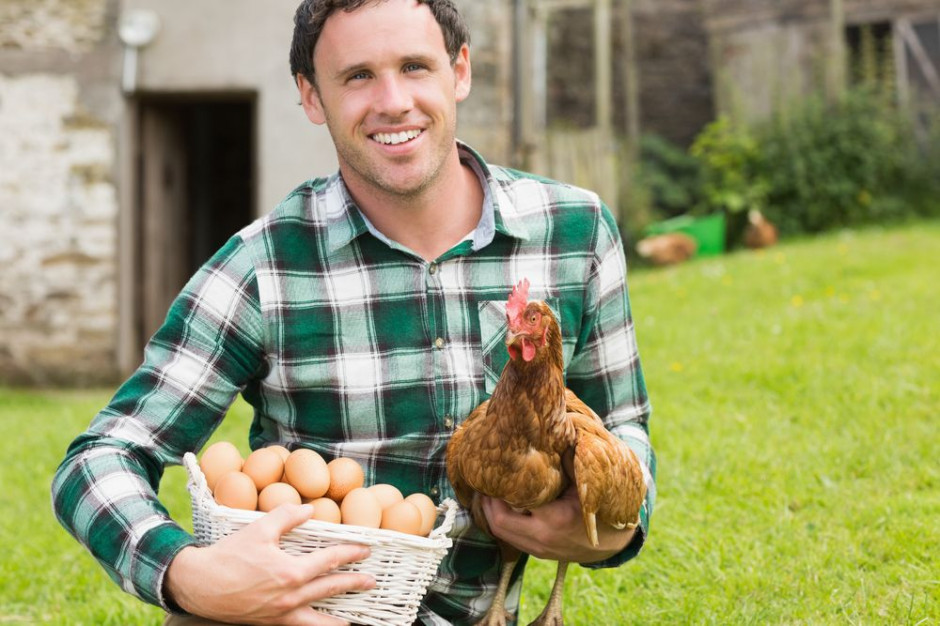 Wiejskie jaja mogą zawierać trujące dioksyny; fot. shutterstock.com Wiejskie eko jaja mogą być trujące?