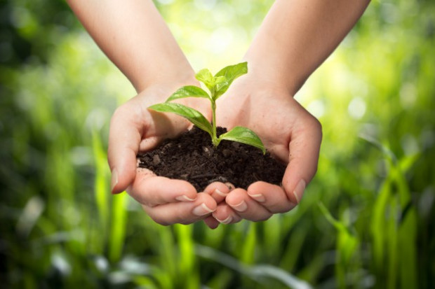 fot. shutterstock PIORIN namawia do zgłaszania produkcji rolnej w systemie IP