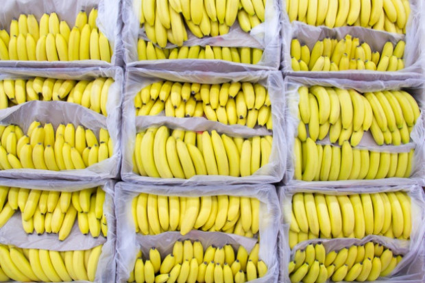 Honduras zwiększa produkcję bananów, żeby poprawić konkurencyjność/ fot. shutterstock Honduras zwiększa produkcję bananów