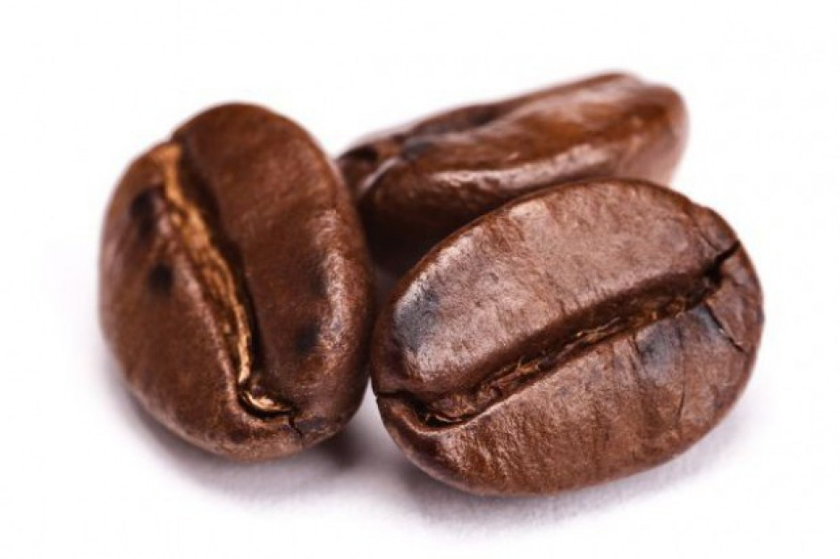 Plony kawy w Brazylii są zagrożone