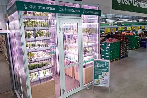 W sklepie Metro Cash&Carry powstał mini ogród z warzywami i ziołami. Fot. za Metro Group W sklepie Metro Cash&Carry powstał mini ogród z warzywami i ziołami