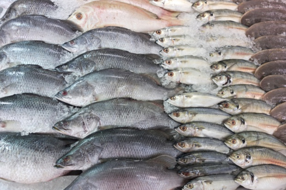 Połowy ryb na Bałtyku wyższe o blisko 14 proc. 