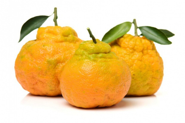 fot. shutterstock Brzydkie pomarańcze coraz popularniejsze w Chinach