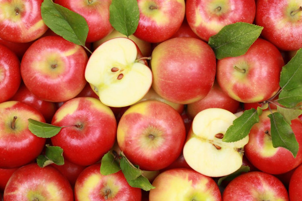 TRSK prosi rząd o pomoc w eksporcie jabłek do Rosji. Fot. shutterstock TRSK prosi rząd o pomoc w eksporcie jabłek do Rosji
