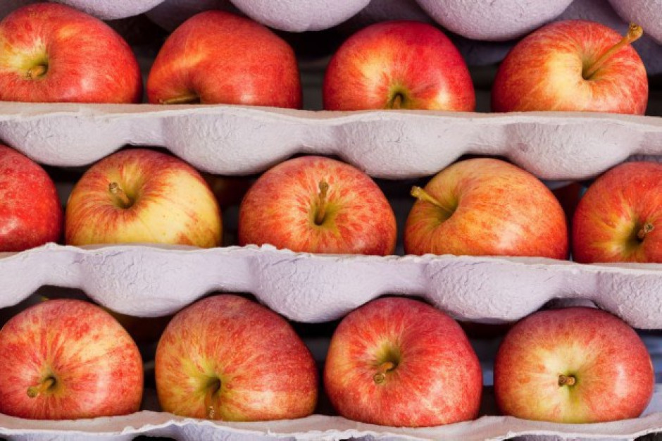 Unijne zapasy jabłek nieznacznie niższe od rekordowo wysokich sprzed roku