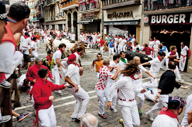 Flamenco, corrida i polska wołowina