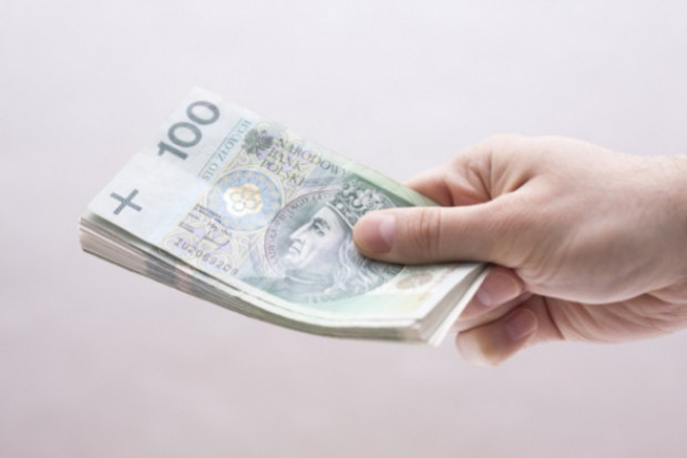 fot. shutterstock ARiMR wyda 30 mln zł na utrzymanie i rozwój systemów aplikacyjnych