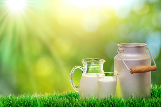 Fot. Shutterstock W I kwartale utrzyma się tempo wzrostu dostaw mleka w UE