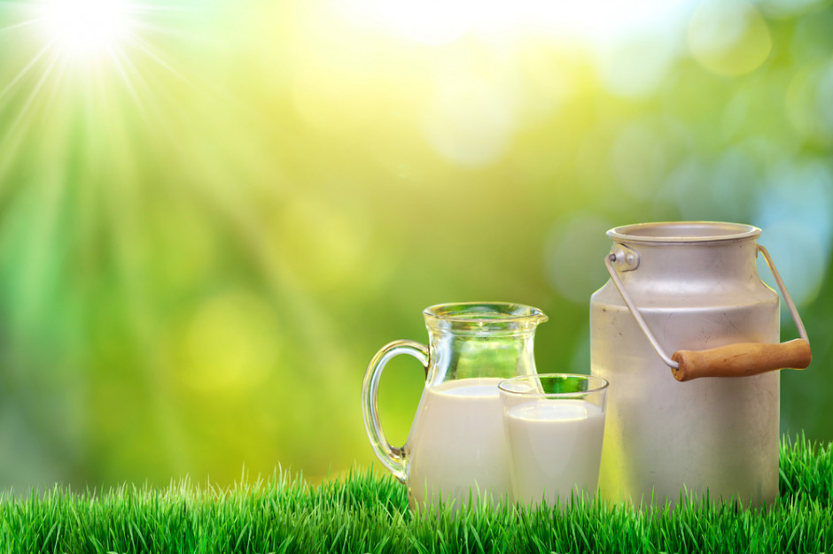 Fot. Shutterstock W I kwartale utrzyma się tempo wzrostu dostaw mleka w UE