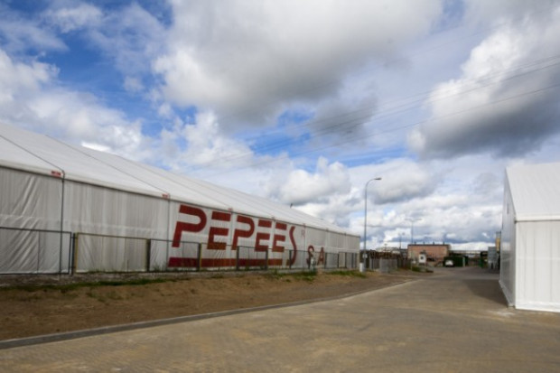 fot. za pepees.pl Pepees: Wzrost przychodów i zysku netto w 2015 r.